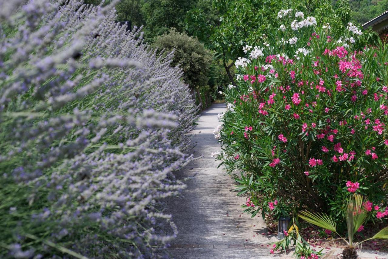 Logis Hotel Restaurant Le Domaine De L'Eau Vive Largentière Εξωτερικό φωτογραφία